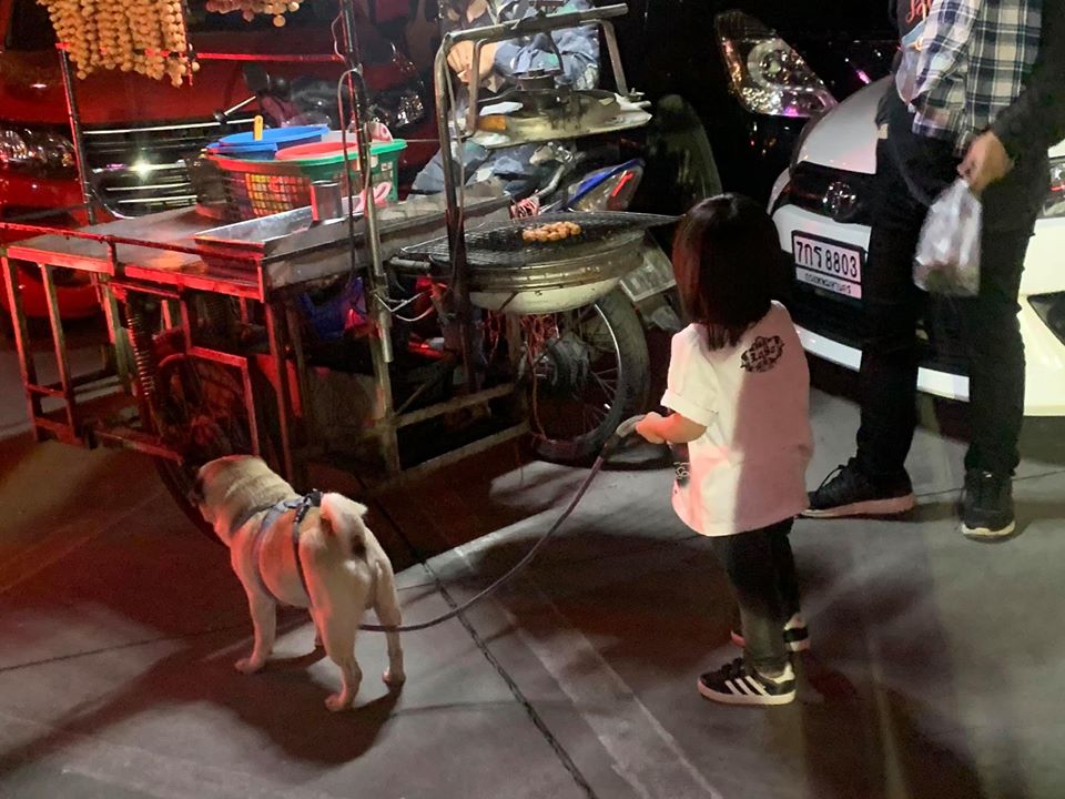 Dogilike.com :: դ͹¹ ... Ҿѡ ʡ  ҹͧһشԿ˹Ƿ