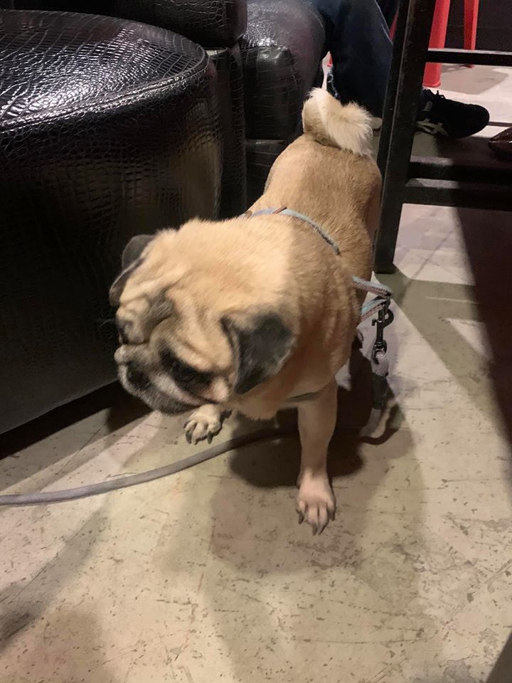Dogilike.com :: դ͹¹ ... Ҿѡ ʡ  ҹͧһشԿ˹Ƿ