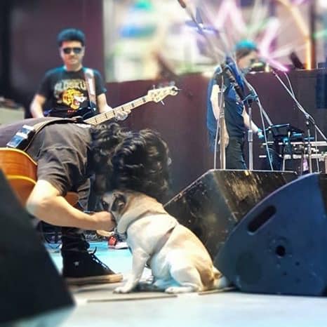 Dogilike.com :: դ͹¹ ... Ҿѡ ʡ  ҹͧһشԿ˹Ƿ