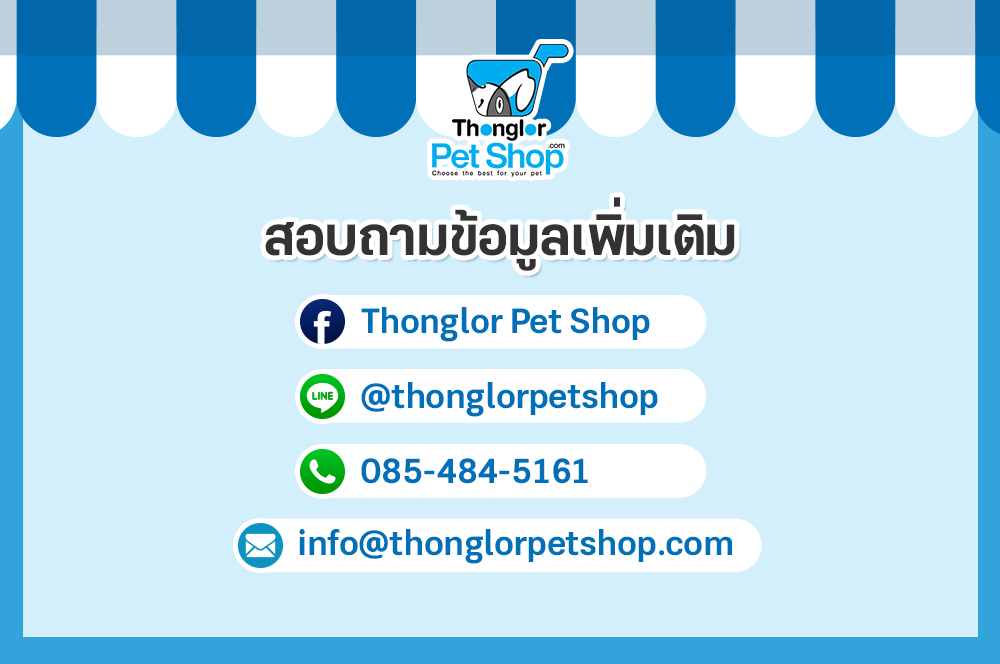 Dogilike.com :: Դ! Thonglor Pet Shop Online ͻʺ¡