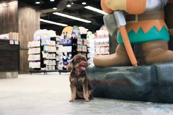 Dogilike.com :: Һء The Pet Safari ͤ͹ Ѻ 10 ԨشԹ ͧԹ ǹ  