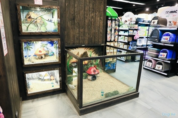 Dogilike.com :: Һء The Pet Safari ͤ͹ Ѻ 10 ԨشԹ ͧԹ ǹ  