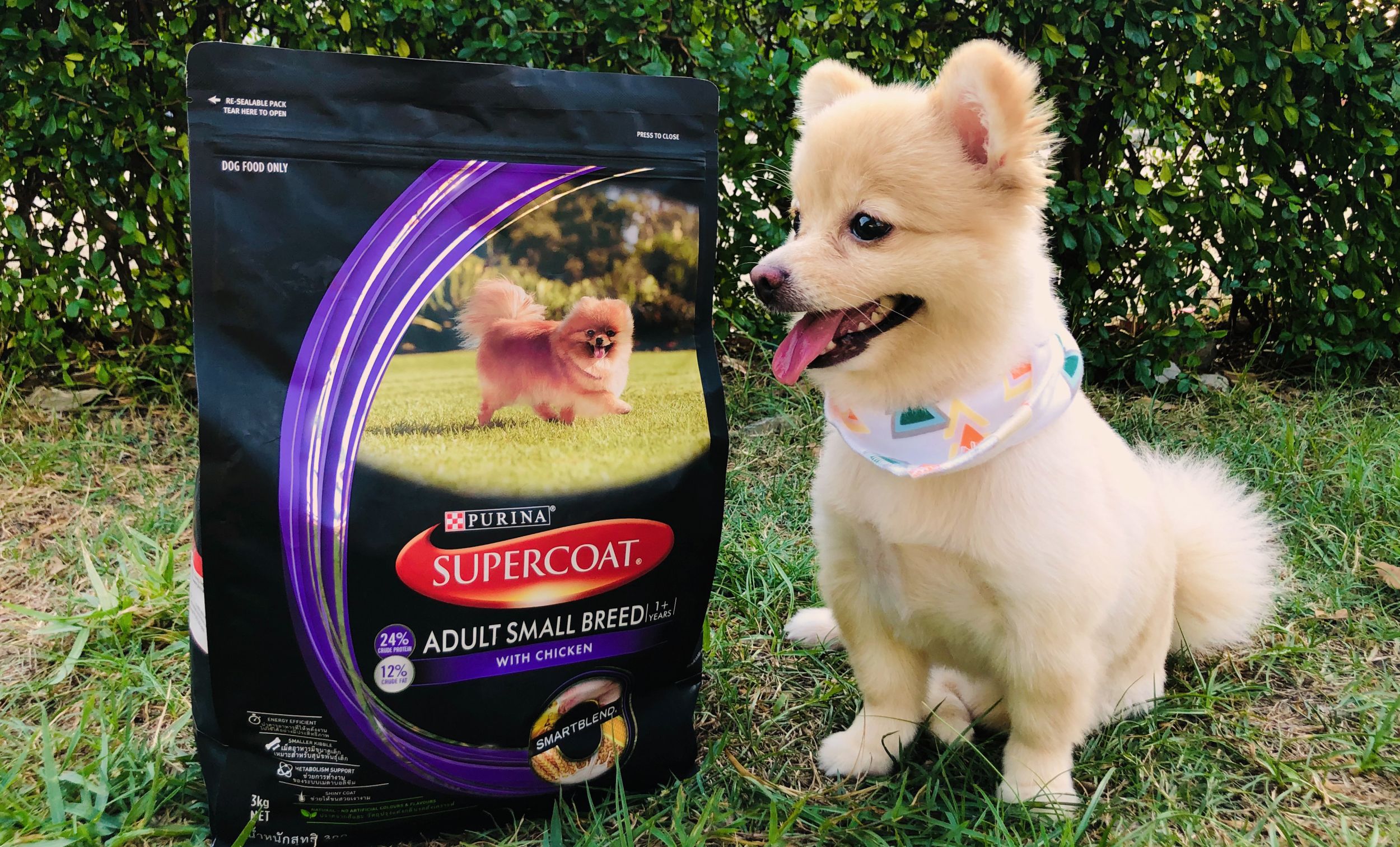 Dogilike.com :: Review عѢ SUPERCOAT ػ鷴 !!