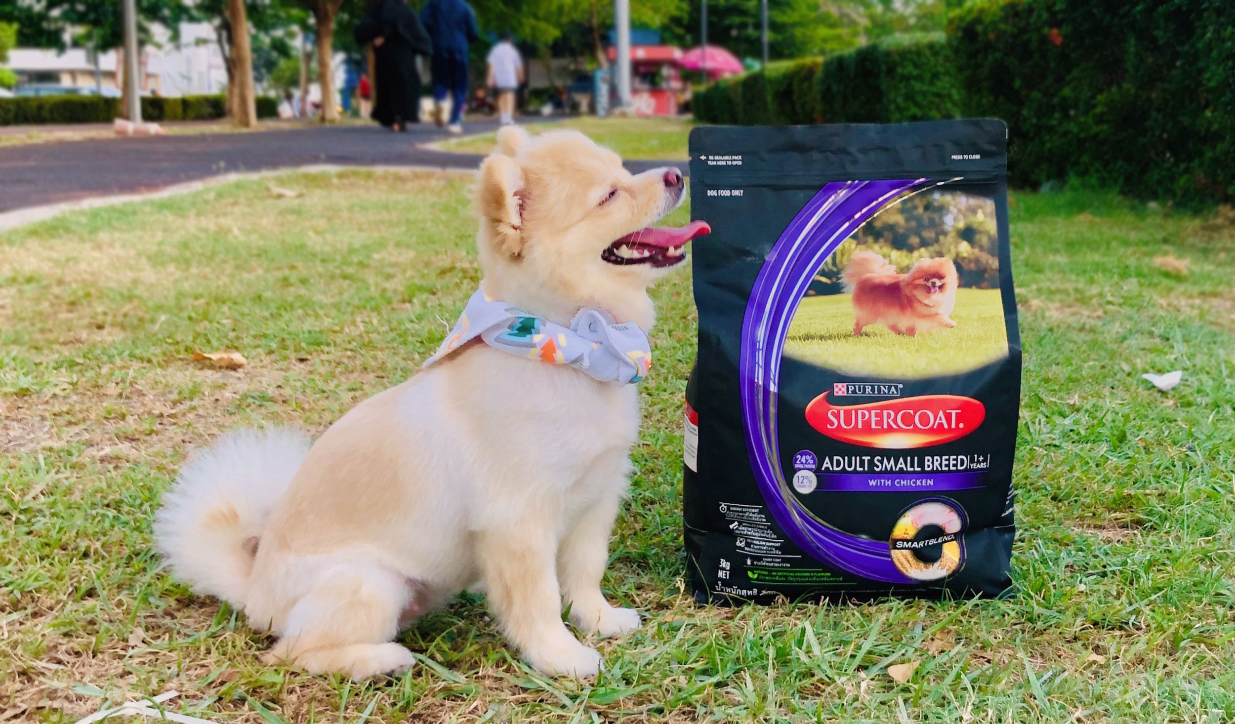 Dogilike.com :: Review عѢ SUPERCOAT ػ鷴 !!