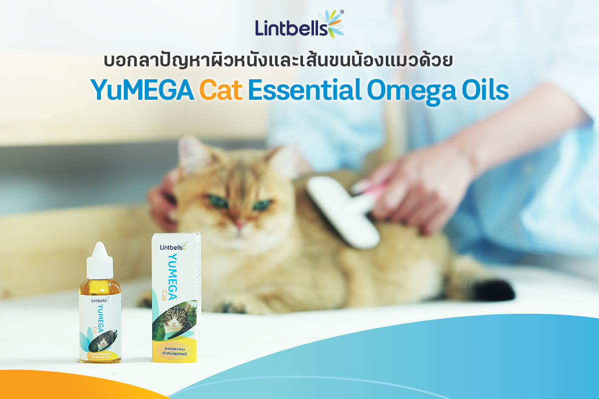 Yumega cat hotsell