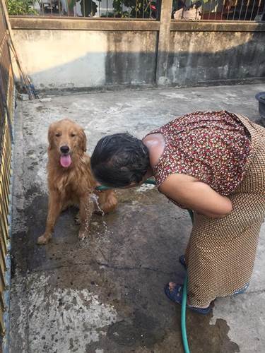 Dogilike.com :: Ңͧʵ ҵٺѹҹ 3 ѹ ͹ !
