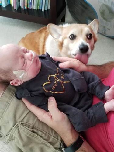 Dogilike.com :: ѡͧ! §˹ٹ½ὴ س͡Դ˹ֺҧ