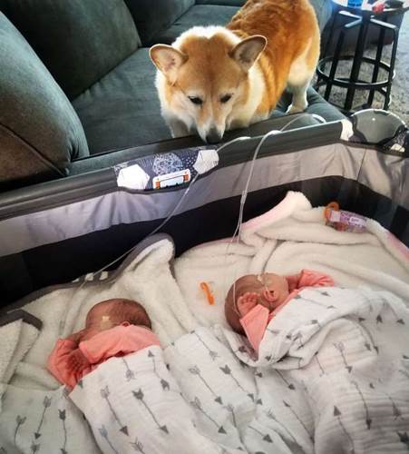 Dogilike.com :: ѡͧ! §˹ٹ½ὴ س͡Դ˹ֺҧ