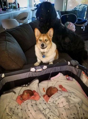 Dogilike.com :: ѡͧ! §˹ٹ½ὴ س͡Դ˹ֺҧ