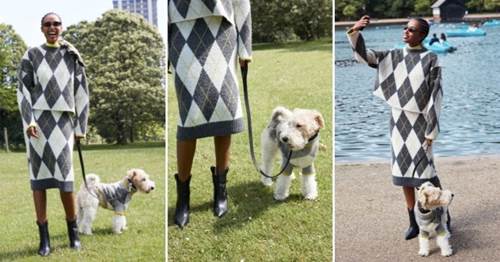 Dogilike.com :: Ὺ蹵ͧ! H&M ԴͼѺҢͧйͧ