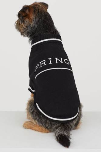 Dogilike.com :: Ὺ蹵ͧ! H&M ԴͼѺҢͧйͧ