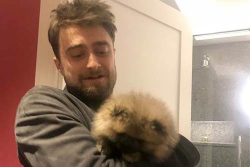 Dogilike.com :: คู่รักสายเปย์! ทุ่มเงินครึ่งล้านดูแลตูบอย่างดี มีเพื่อนเป็นดาราระดับโลก Dogilike.com :: คู่รักสายเปย์! ทุ่มเงินครึ่งล้านดูแลตูบอย่างดี มีเพื่อนเป็นดาราระดับโลก