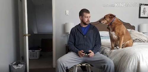 Dogilike.com :: ˹ʹ ٺ§Ѵ紨! (Ի)