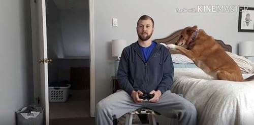 Dogilike.com :: ˹ʹ ٺ§Ѵ紨! (Ի)