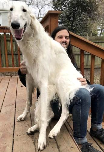 Dogilike.com :: !  Eris ͧҹѡը١ǡ÷Ѵ 