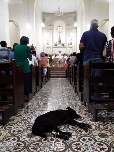 Dogilike.com :: ѡ! ҷǧ㨴عѢèѴʶ ѧ餹Ѻ§