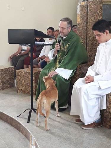 Dogilike.com :: ѡ! ҷǧ㨴عѢèѴʶ ѧ餹Ѻ§