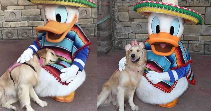 Dogilike.com :: Թش! ٺ͡ٹô ⴹŴ  ͹ء˹(Ի)