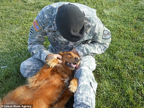 Dogilike.com :: ѡ! عѢ ͹ ԡ쿺