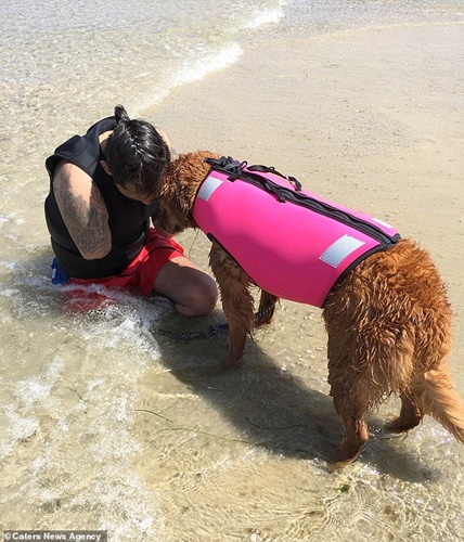 Dogilike.com :: ѡ! عѢ ͹ ԡ쿺