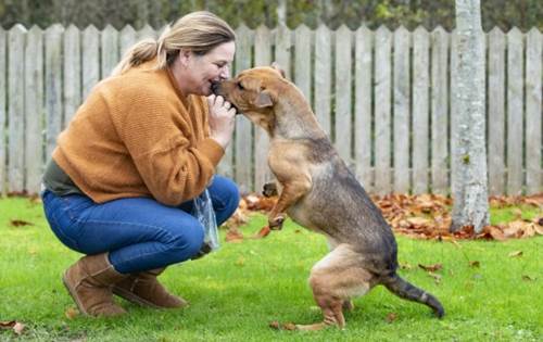 Dogilike.com :: ! ٺǹ١Ѵ ѹ