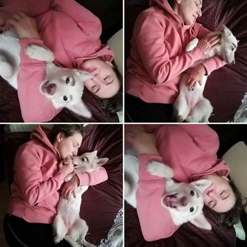 Dogilike.com :: ǹ! 繴ٹͧҤǻѧҵ 繡ŧѡ
