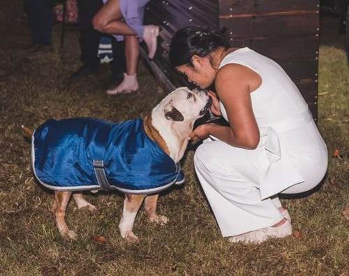 Dogilike.com :: ӷ駧ҹ! ٺشѡ觫չҹ ¡ҩç 