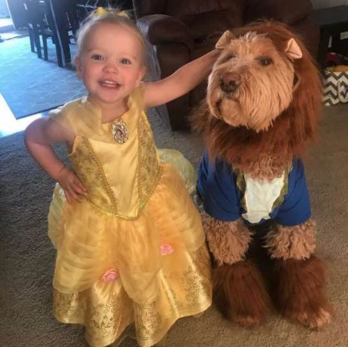 Dogilike.com :: ѡش! ˹ٹӡѺٺ ٹͧô Beauty And The Beast