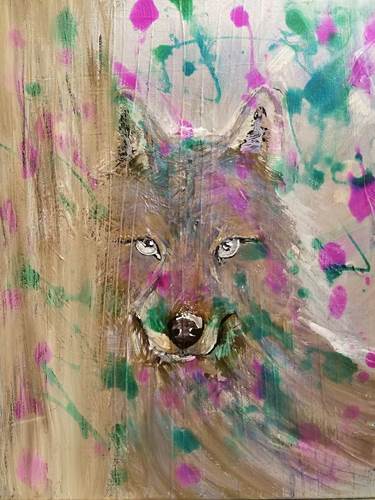 Dogilike.com :: ! ˹ٹҴ 300 ҾԹѵ٭ѹ 8 Ǻ 