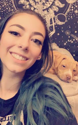 Dogilike.com :: ١ҡҵٺ¹¶֧ شẺ!