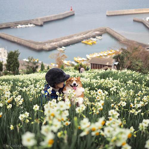 Dogilike.com :: ѡ! Erico ᴹҴԺشѡդԴ 5 蹤