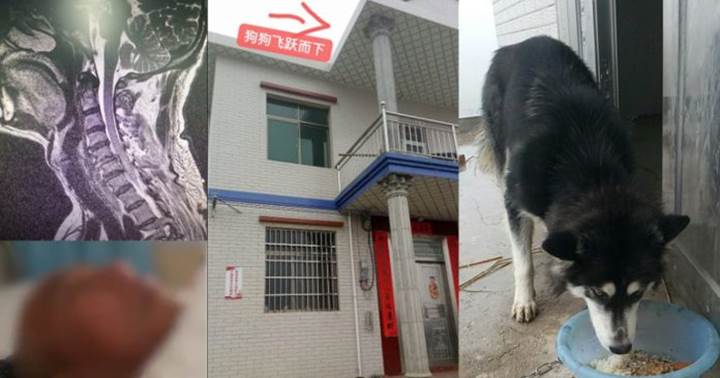 Dogilike.com :: ¤Դ֧! ʡҢͧѺҹ Ңͧ!