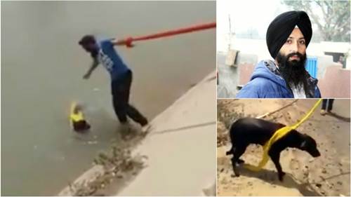 Dogilike.com :: Ѻ! ˹ǫԡʹ⾡ǪªԵعѢ 