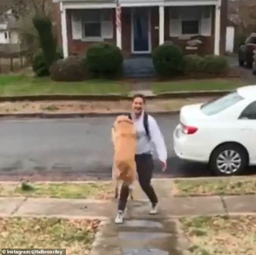 Dogilike.com :: ѡش! ٺⴴ´ҢͧѺҹ (Ի)