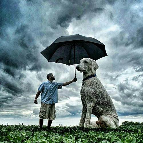 Dogilike.com :: ¹ش! ˹맨ѺٺҶҾ Ѵ˭ѡ 