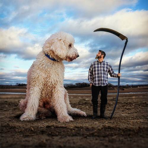 Dogilike.com :: ¹ش! ˹맨ѺٺҶҾ Ѵ˭ѡ 