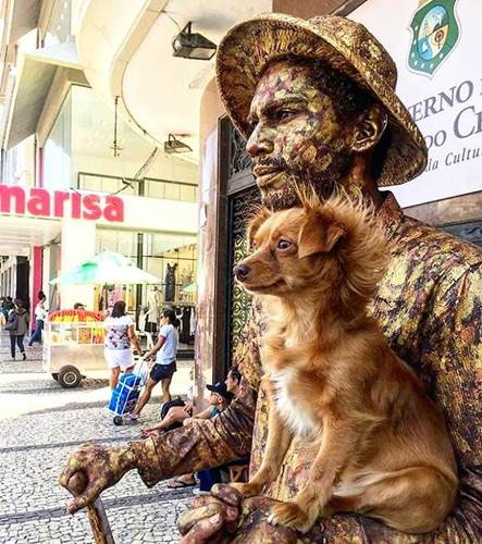 Dogilike.com :: Թ! ٺʹԴǡѺҢͧ ӵٻժԵ