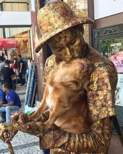 Dogilike.com :: Թ! ٺʹԴǡѺҢͧ ӵٻժԵ