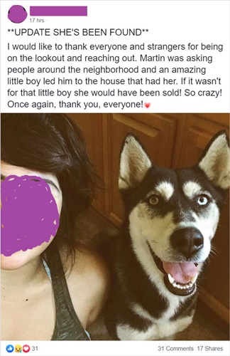 Dogilike.com :: ! ʵʡ ͵ադ仢º