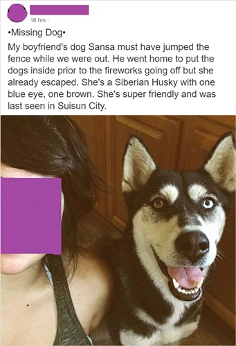 Dogilike.com :: ! ʵʡ ͵ադ仢º