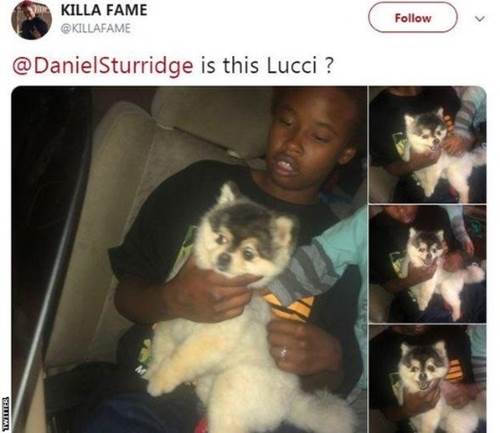 Dogilike.com :: Դ ʹյͧ˹ⴹµٺ ѧŪ¨׹!