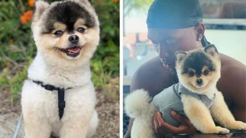 Dogilike.com :: Դ ʹյͧ˹ⴹµٺ ѧŪ¨׹!