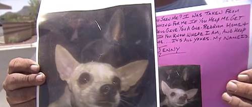 Dogilike.com :: ᷺Ҵ! ساС¡ҹзѾԹ͵عѢشѡ
