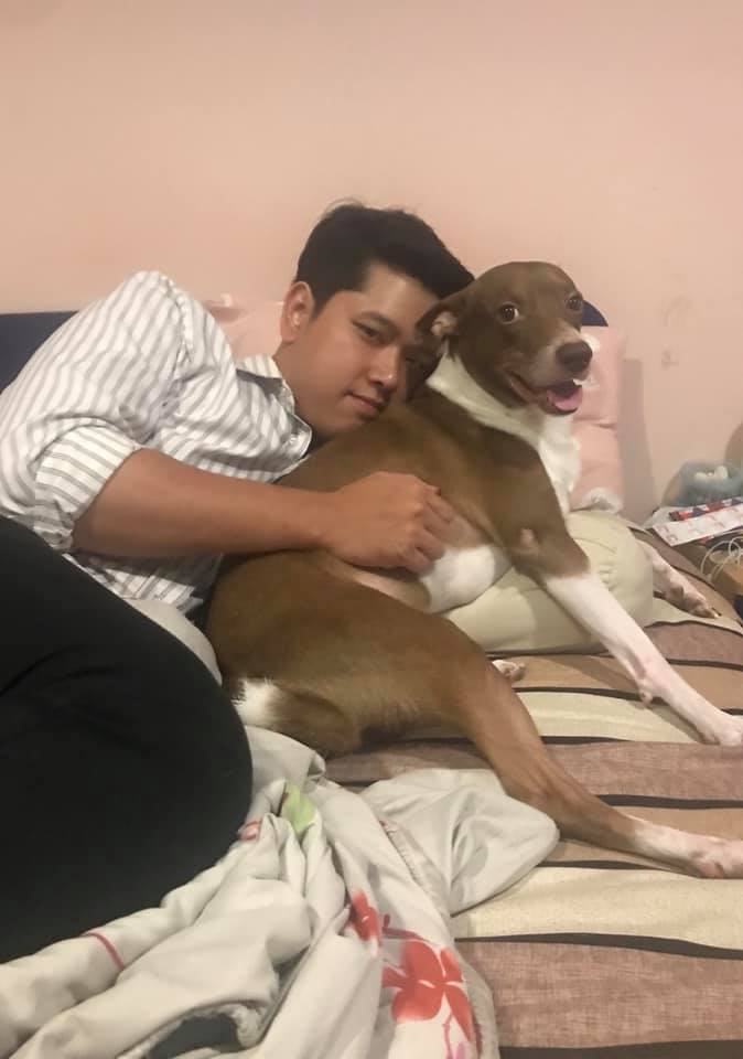 Dogilike.com :: ¡˹˹! ѡ ҷ ٺͺ蹵觡ҵ