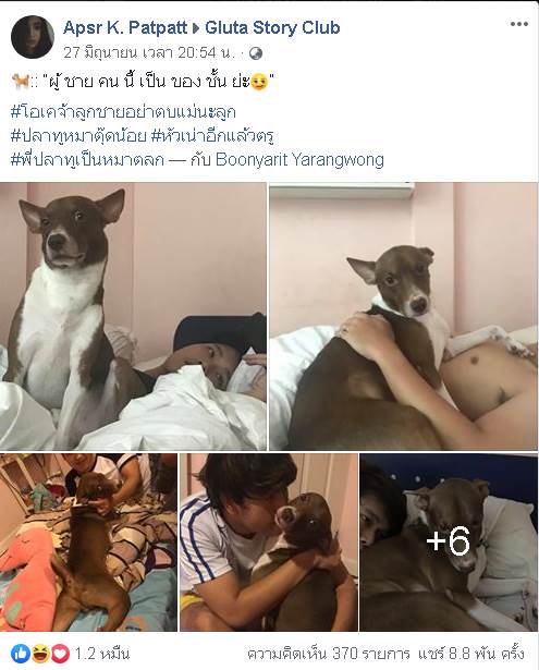 Dogilike.com :: ¡˹˹! ѡ ҷ ٺͺ蹵觡ҵ