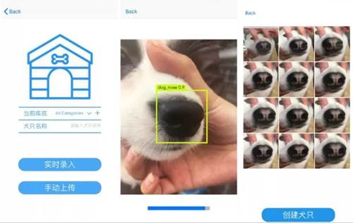 Dogilike.com :: ! չѲк AI عѢ´Ը᡹١