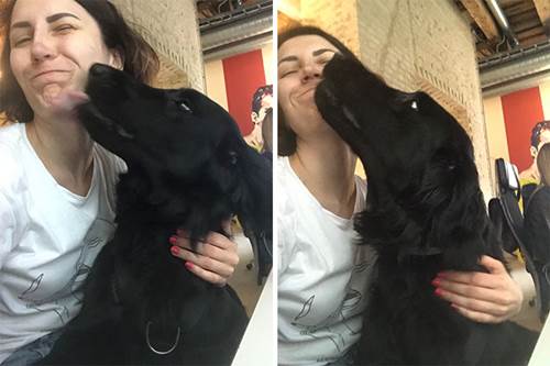 Dogilike.com :: Ǩش ҢͧͺٺعѢ ҡҤѡͧͧ !