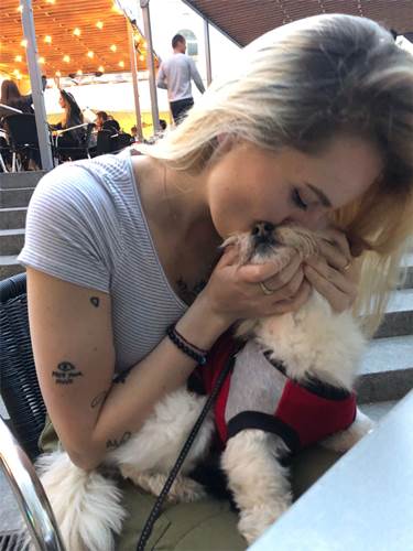 Dogilike.com :: Ǩش ҢͧͺٺعѢ ҡҤѡͧͧ !