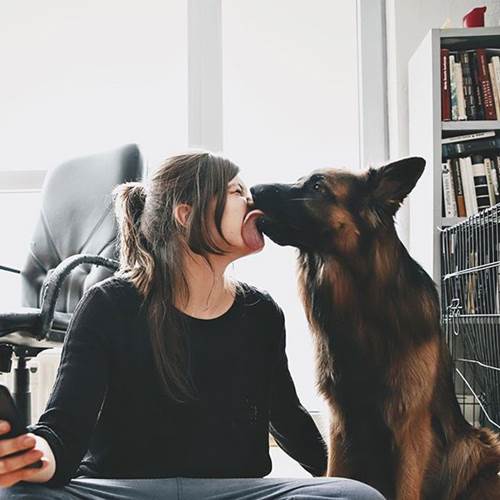Dogilike.com :: Ǩش ҢͧͺٺعѢ ҡҤѡͧͧ !