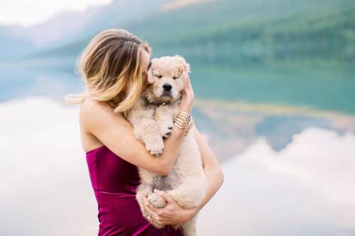 Dogilike.com :: ˹ԴԸբΌ觧ҹ觹繵Ǫ !